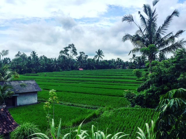 How to avoid ‘Bogan Bali’ & find your bliss?